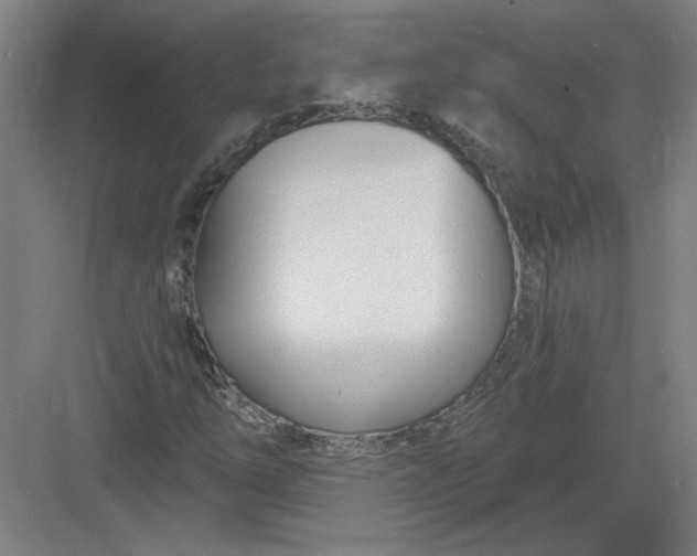 X0000082981254200702152348