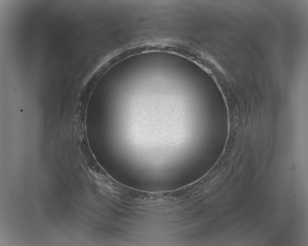X0000082981256200702152348