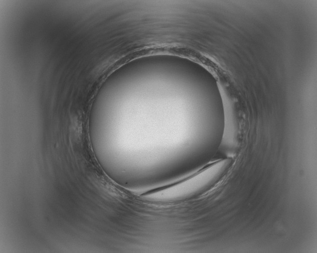 X0000082981257200702152348