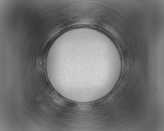 X0000082981258200702152348