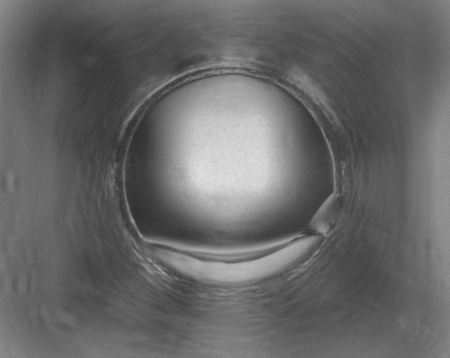 X0000082981260200702152348