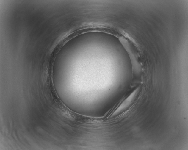 X0000082981261200702152348