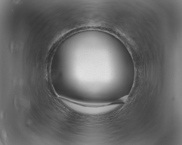 X0000082981262200702152348