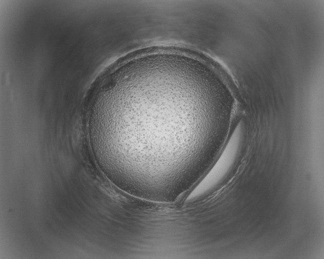 X0000082981263200702152348