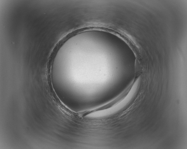 X0000082981264200702152348