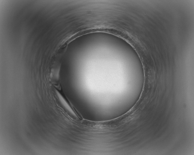 X0000082981265200702152348