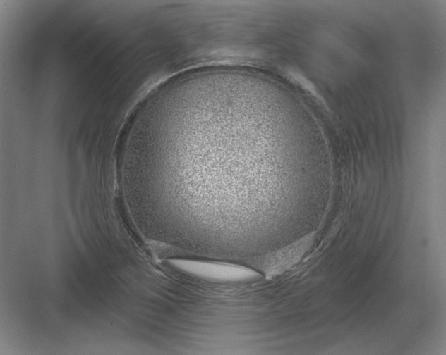 X0000082981267200702152348