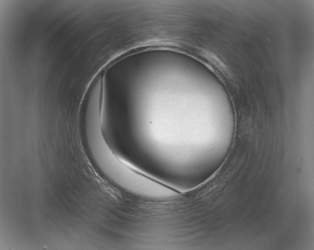 X0000082981268200702152348