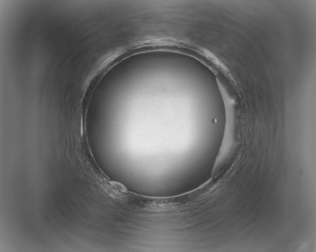 X0000082981269200702152348