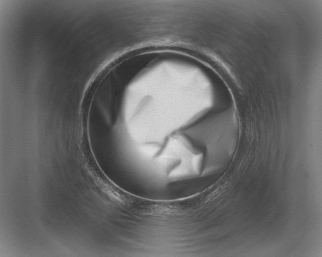 X0000082981270200702152348