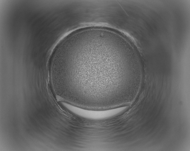 X0000082981271200702152348