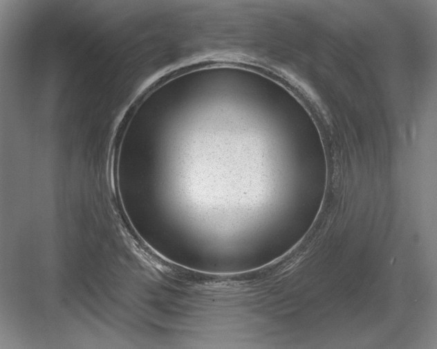 X0000082981272200702152348