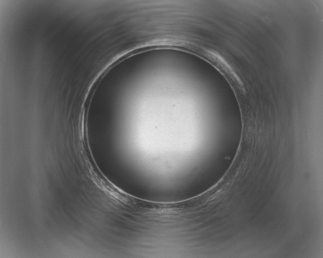 X0000082981276200702152348