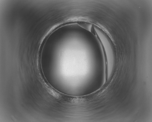 X0000082981277200702152348