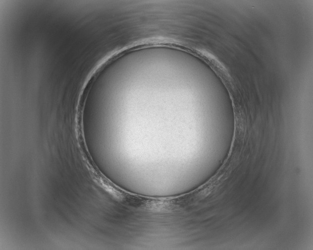 X0000082981278200702152348