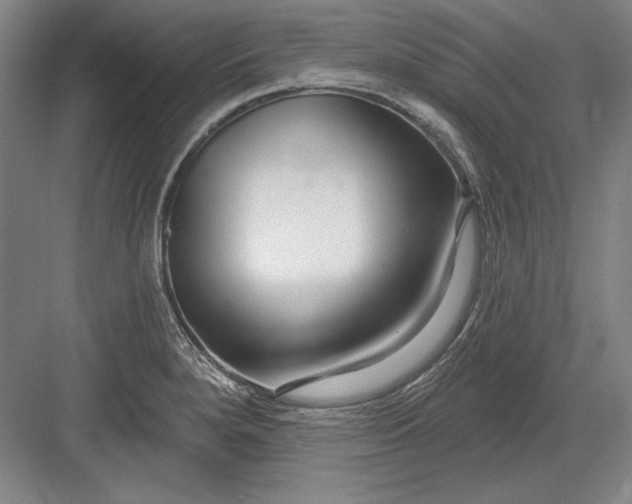 X0000082981280200702152348