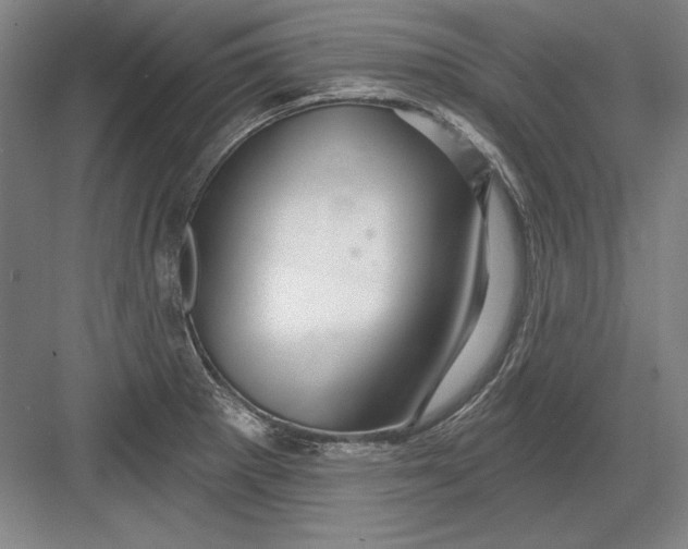 X0000082981281200702152348