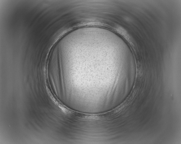 X0000082981282200702152348