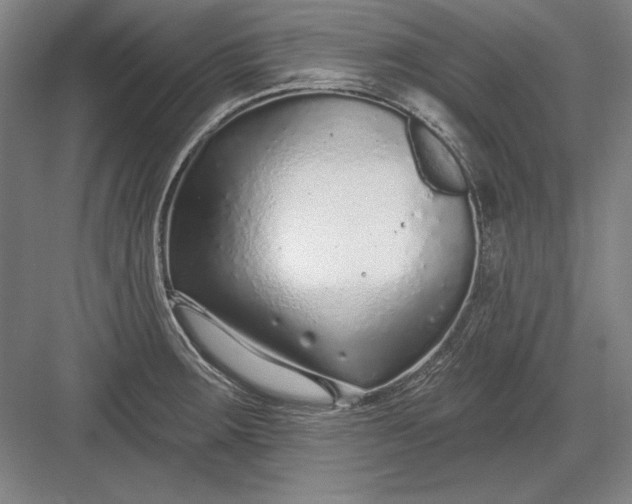 X0000082981283200702152348