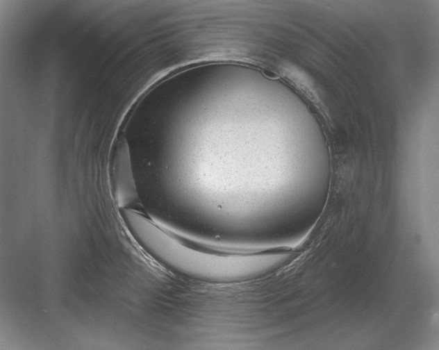 X0000082981284200702152348