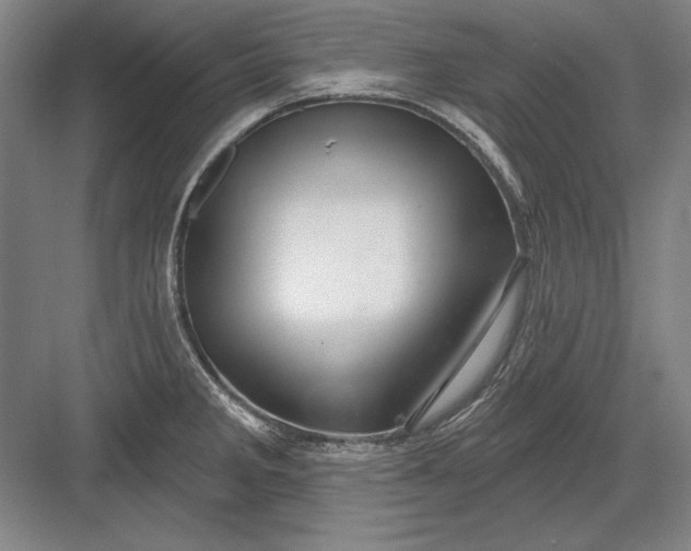 X0000082981285200702152348