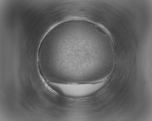 X0000082981287200702152348