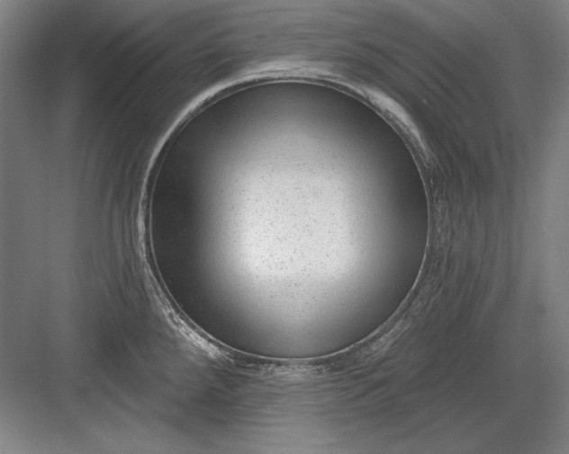 X0000082981288200702152348