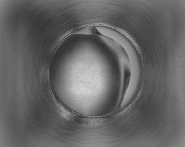 X0000082981289200702152348