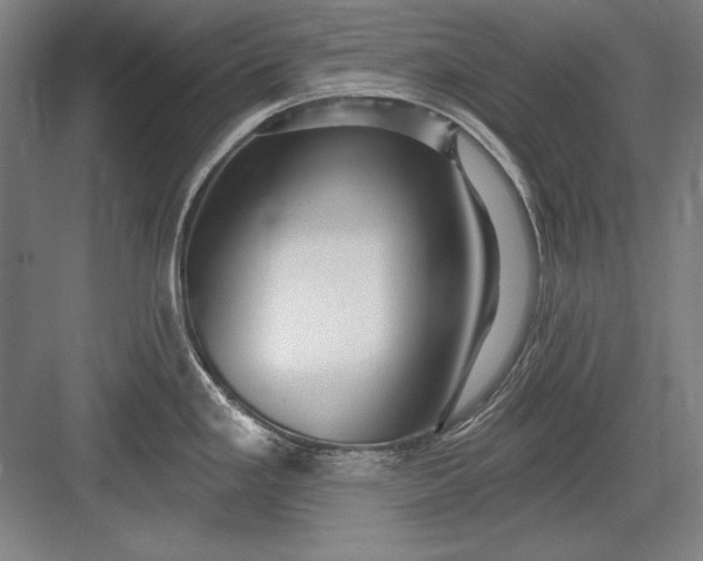 X0000082981293200702152348