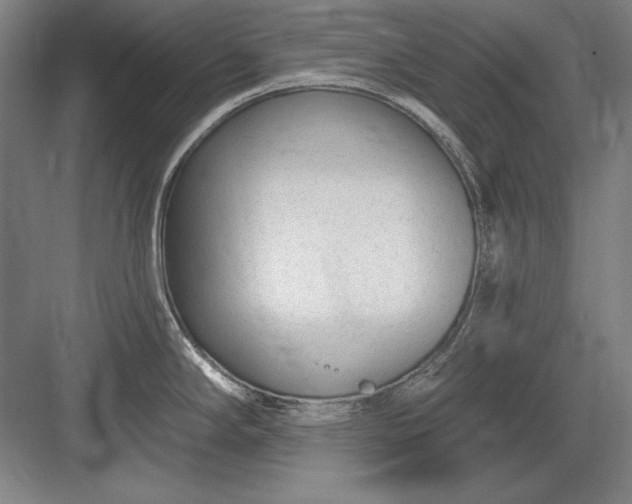 X0000082981294200702152348