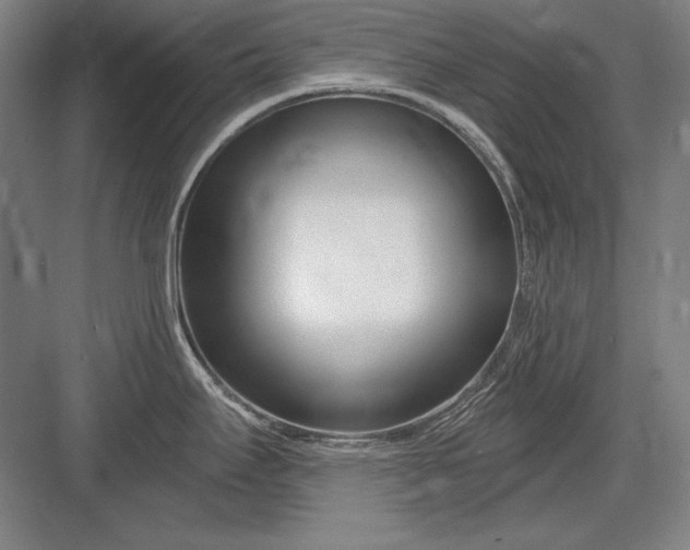 X0000082981295200702152348