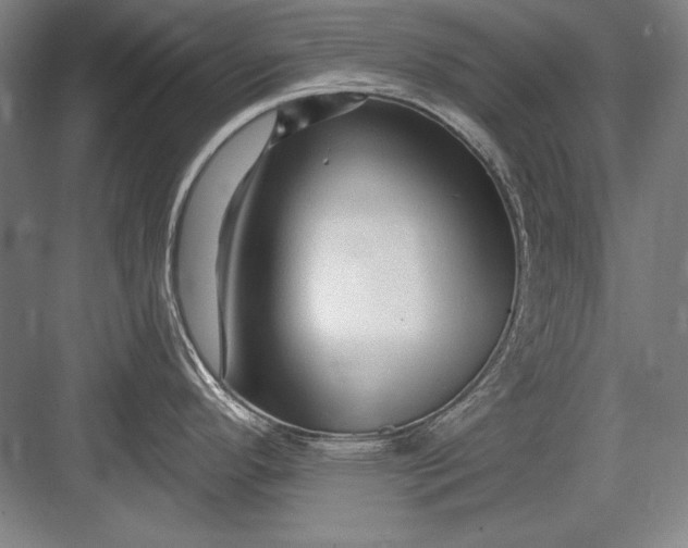 X0000082981296200702152348