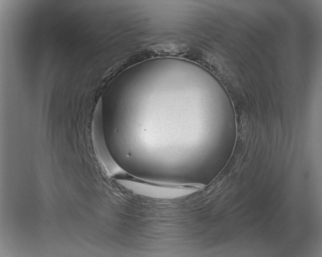 X0000082981297200702152347