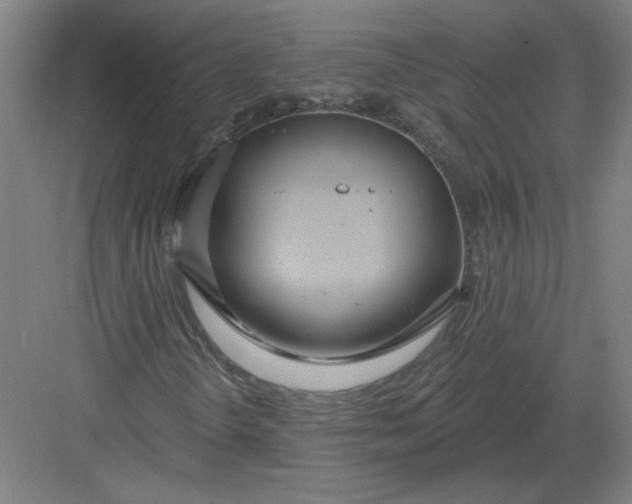 X0000082981298200702152347