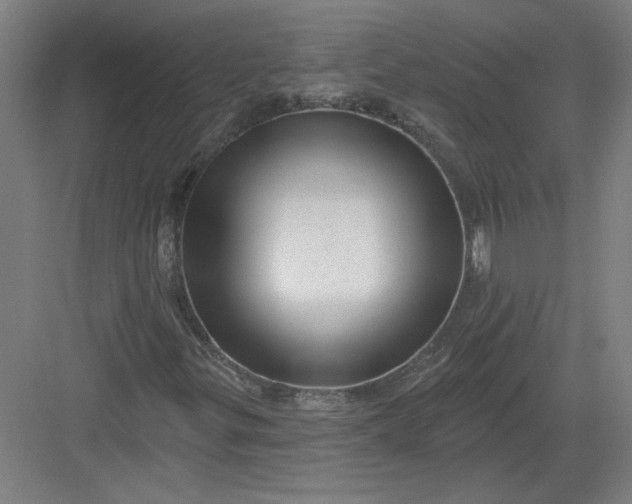 X0000082981299200702152347