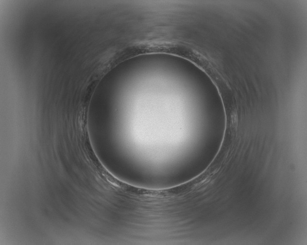 X0000082981300200702152347