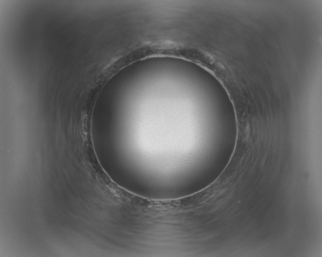 X0000082981301200702152347
