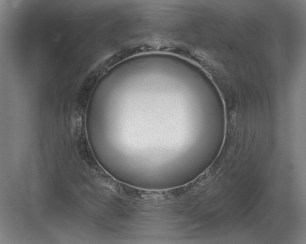 X0000082981302200702152347