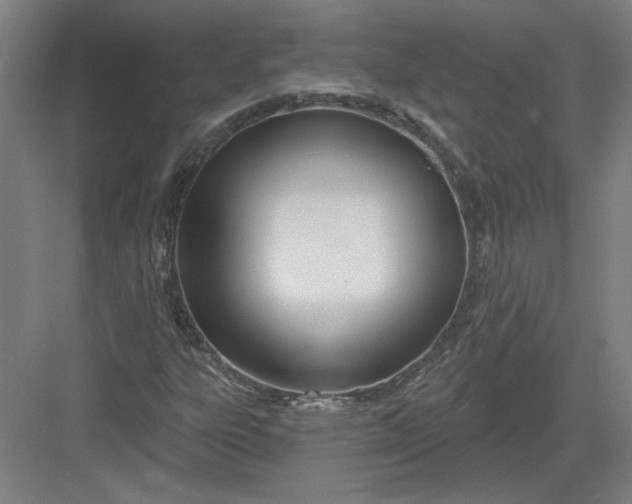 X0000082981303200702152347