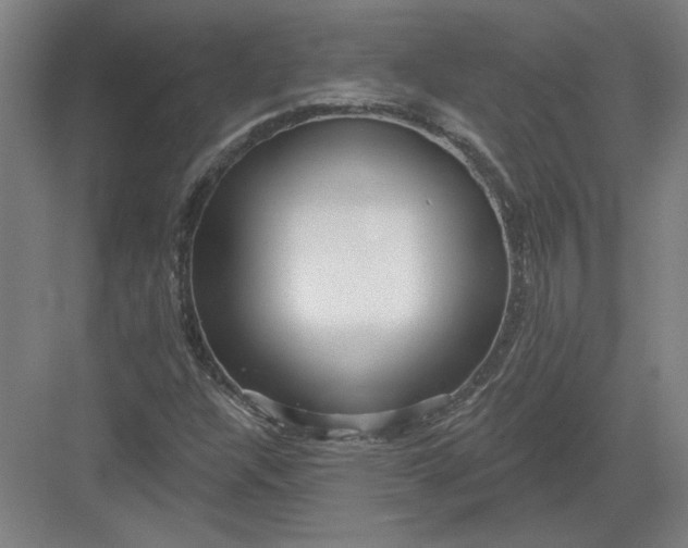 X0000082981304200702152347