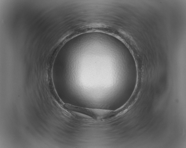 X0000082981305200702152347