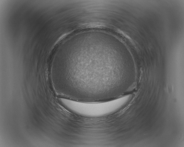X0000082981306200702152347