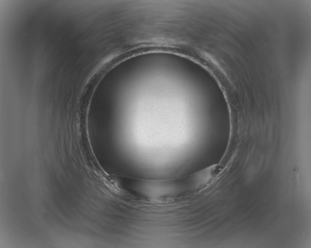 X0000082981307200702152347