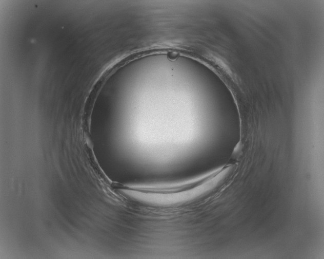 X0000082981308200702152347