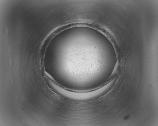 X0000082981310200702152347