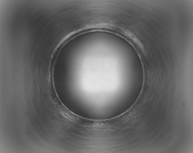 X0000082981316200702152347