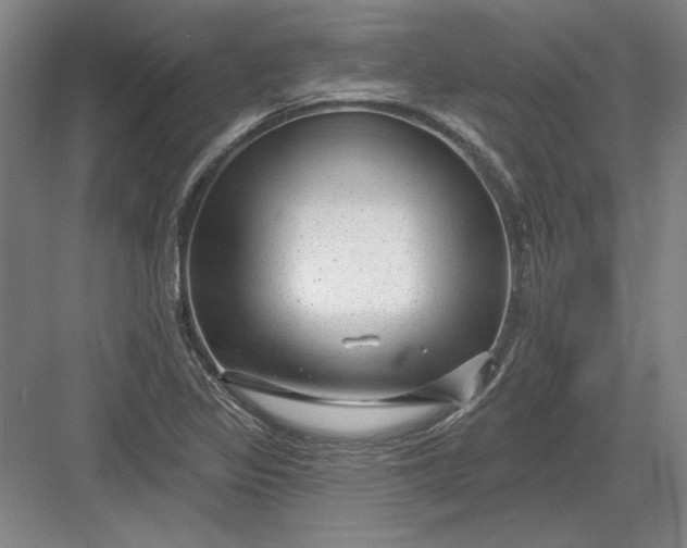 X0000082981317200702152347