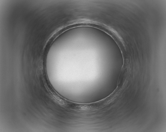 X0000082981318200702152347