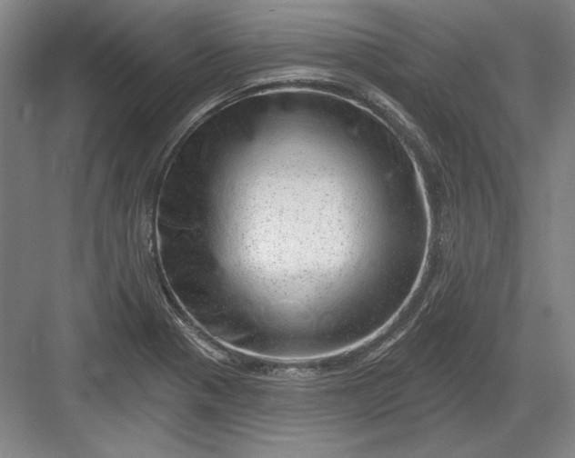 X0000082981321200702152347