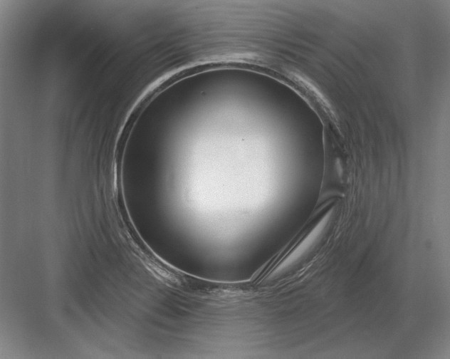 X0000082981324200702152347